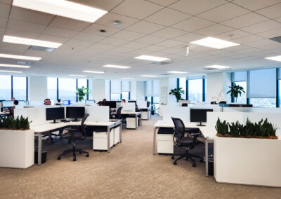 The cubicles of the American Heritage Lending office decorated with plants and with windows on every wall
