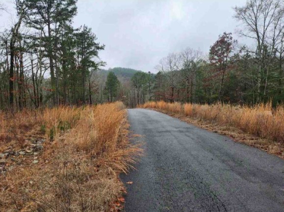 Streetview 1 - Broken Bow, OK - GUC