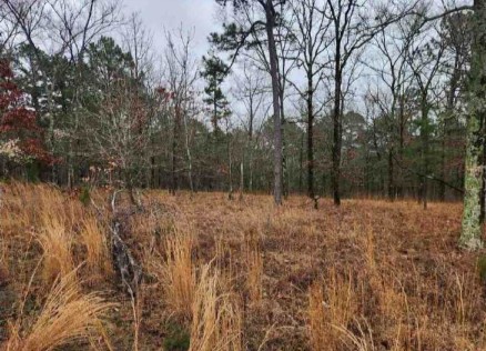 Streetview 2 - Broken Bow, Ok - GUC