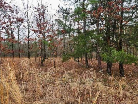 Streetview 3- Broken Bow, Ok - GUC