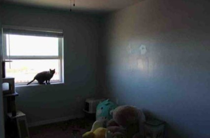 Unit B- Bedroom- DSCR - Snowflake, AZ