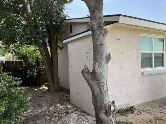 Vernon dscr loan — subject property photo 4