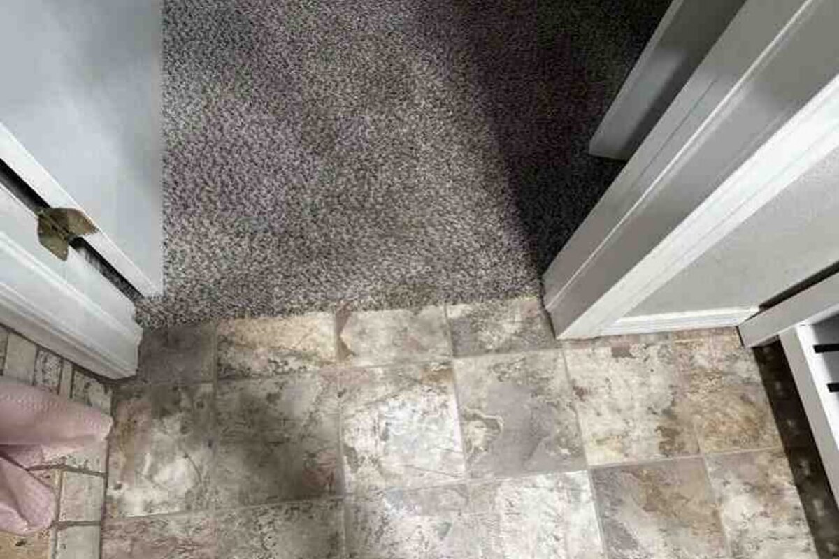 Mcalester dscr loan — subject property photo 5