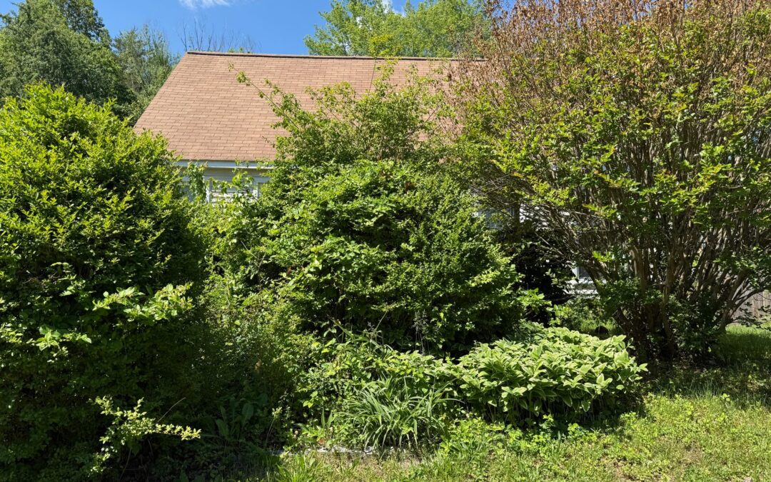 Woodbridge fix and flip loan — subject property photo 1