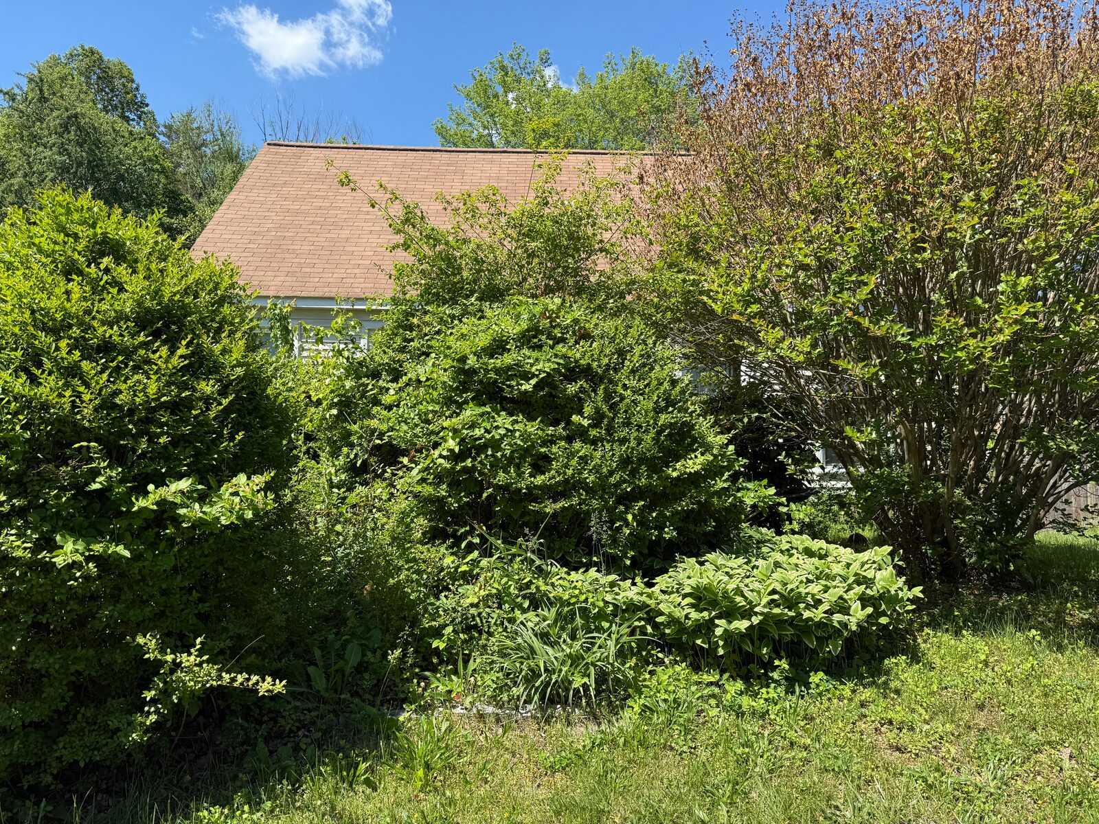 Woodbridge fix and flip loan — subject property photo 1