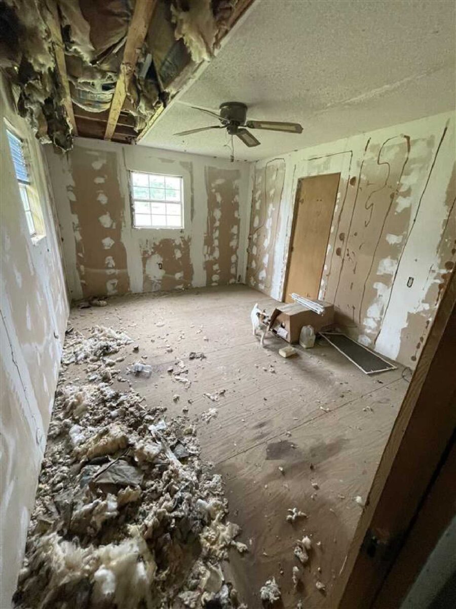 Vidor fix and flip loan — subject property photo 3