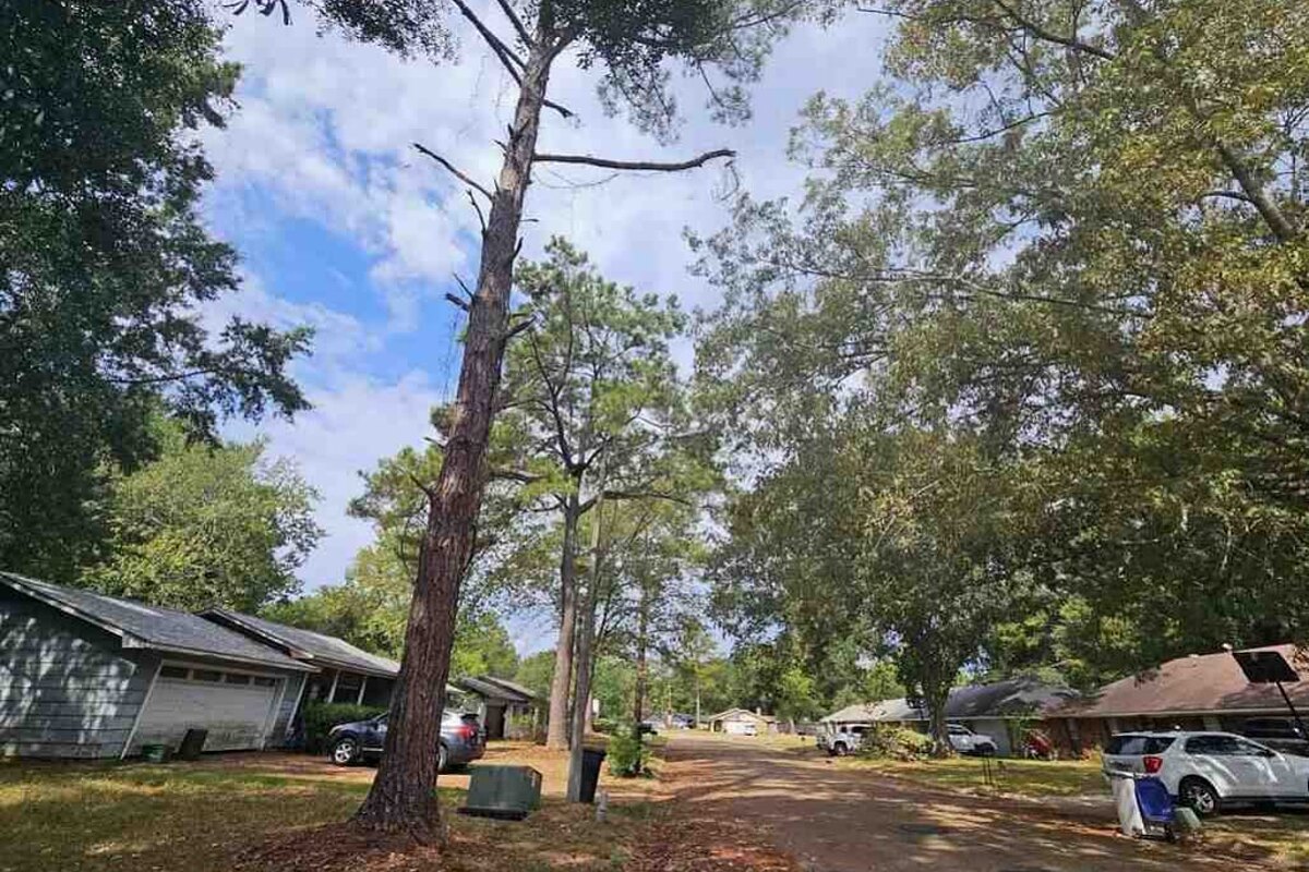 Jackson dscr loan — subject property photo 6