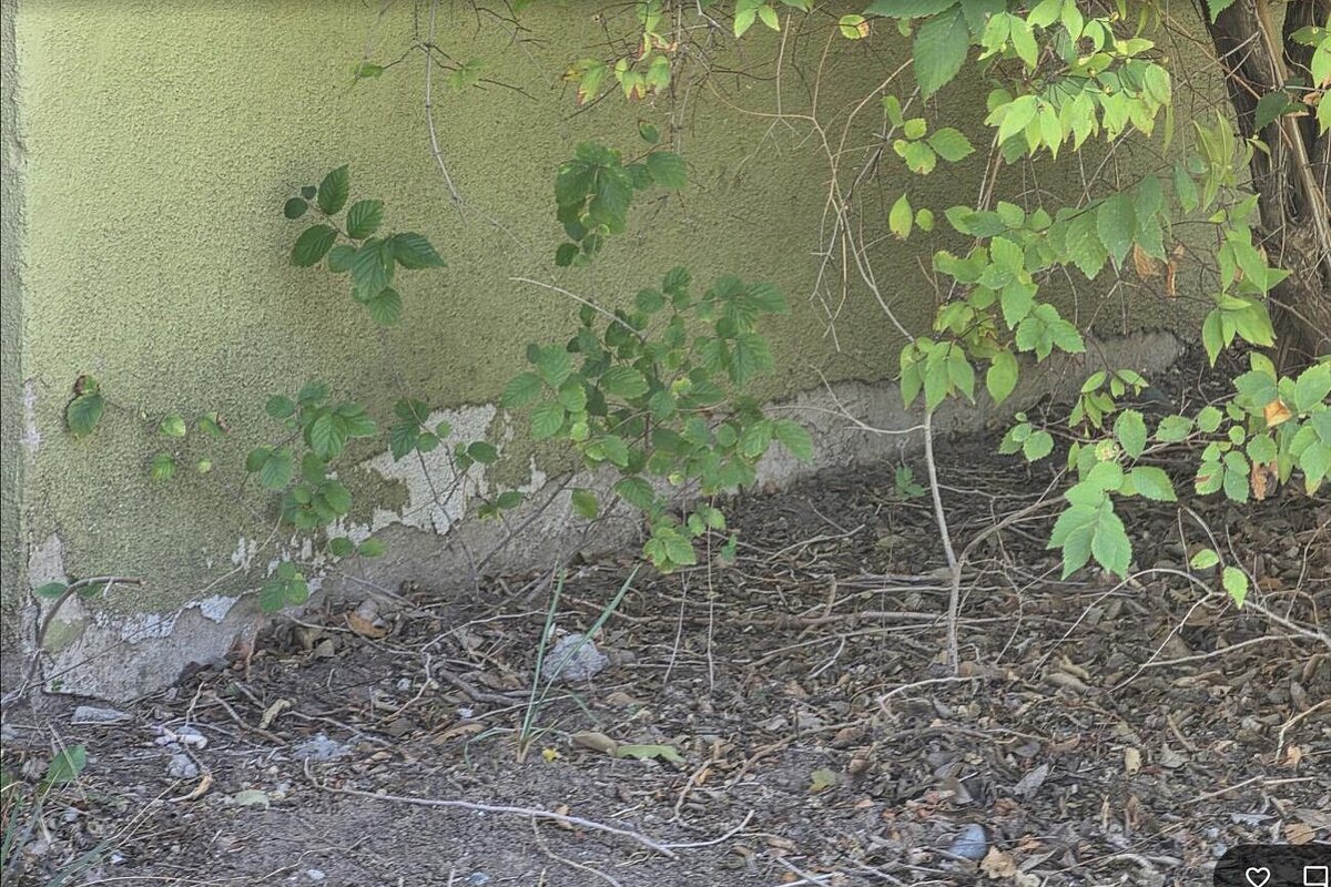 Farmington fix and flip loan — subject property photo 9