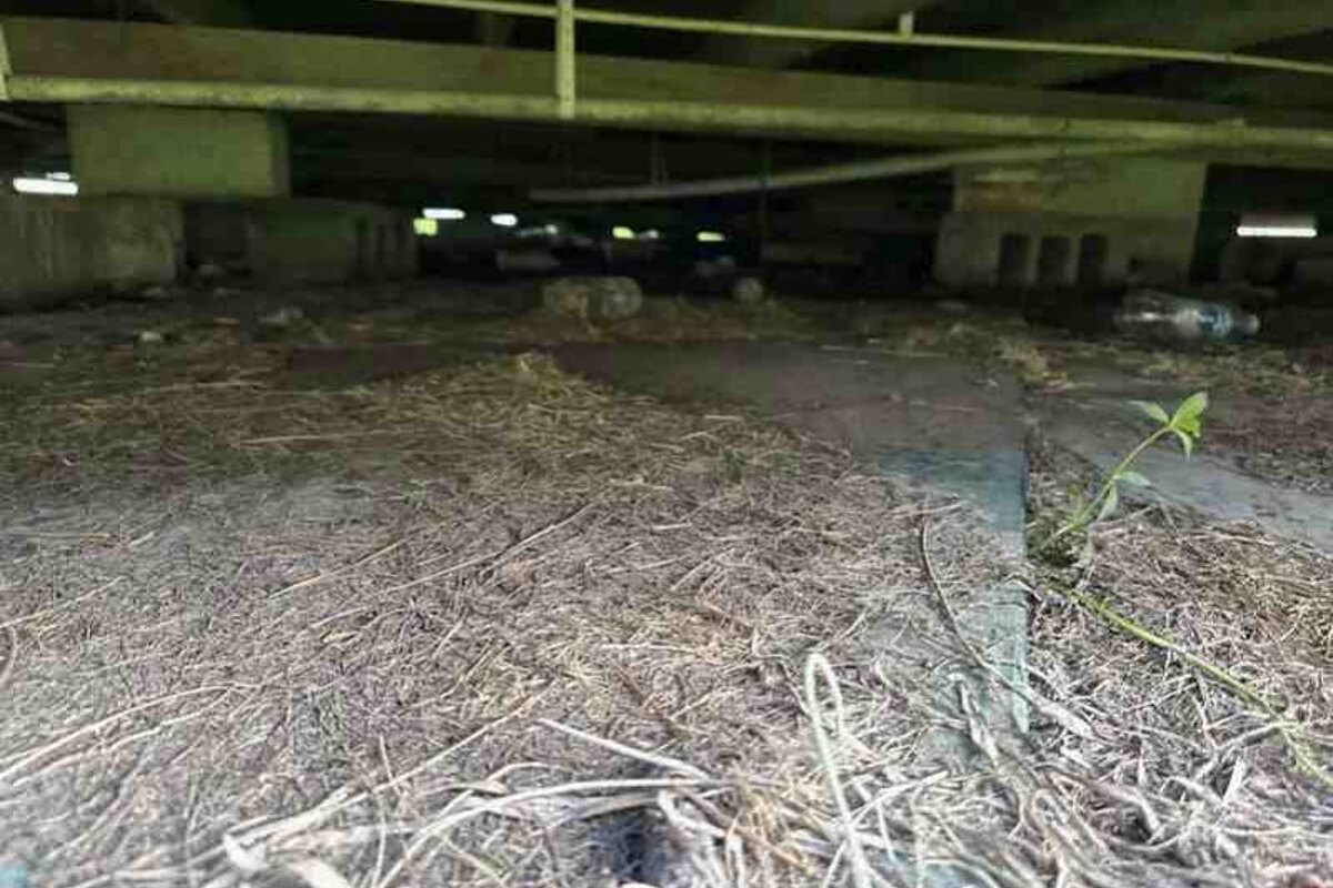 Angleton dscr loan — subject property photo 10